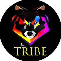 The Tribe of Leicestershire(@TheTribeLeics) 's Twitter Profile Photo