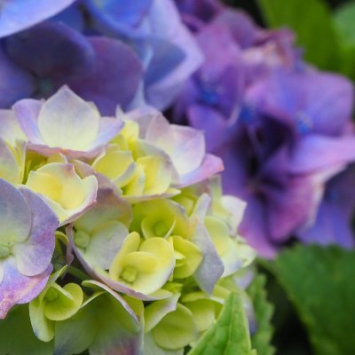 AnT98449675's profile picture. フォローといいねしたいだけの垢です。
ご迷惑をお掛けしていたらすみません。