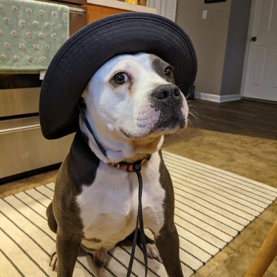 BriGuyyTweets's profile picture. Learning, Breaking, Building 🔥