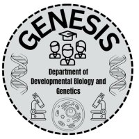 Genesis DBG (@genesisdbg) 's Twitter Profile
