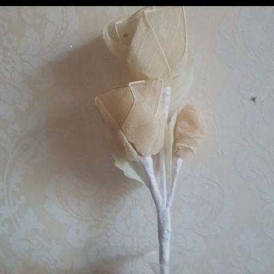 jnlng5886321144's profile picture. 🔥|Co- Build FireDAO on Arbitrum!🔥