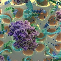 BMBT_Kiel's profile picture. Bioinspired Materials & Biosensor Technologies
Institute of Materials Science,Faculty of Engineering
Christian-Albrechts-Universität zu Kiel/Kiel University