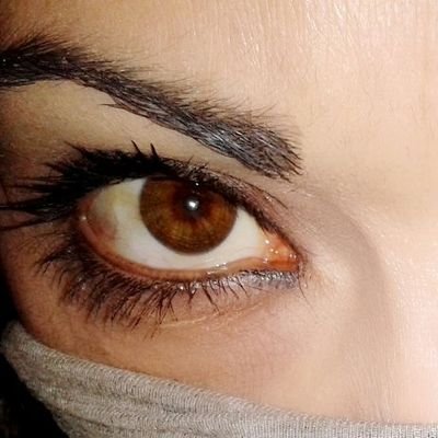 SuperRStefY's profile picture. No dm
Quarto account