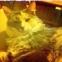 Kris Farrell - @fazzhagg - Twitter