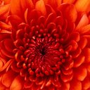 Faisal Ehsan - @FaisalE49687896 - Twitter