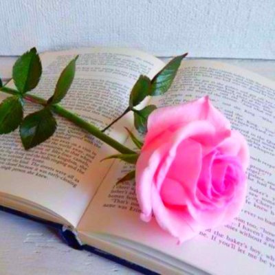 Elhamahmadi2022's profile picture. Du wächst mit jeder Herausforderung