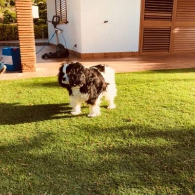 ragamallo45's profile picture.