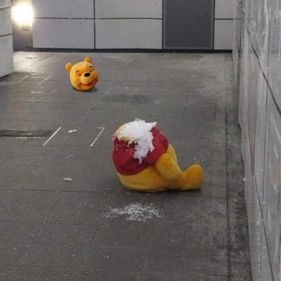 shrinp12's profile picture. 