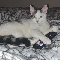 Danny N (@danielnelson89) 's Twitter Profile