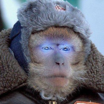 Инсайдами не пользуюсь, все новости придумываю сам.
---
ВК - https://t.co/yjX4fSp5BJ
ТГ - https://t.co/Lci63r3FdX