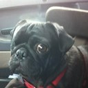 wanda holman - @wkhmach1 - Twitter