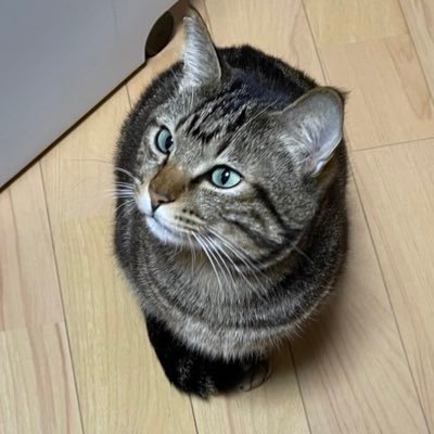 もっちょさんのプロフィール画像
