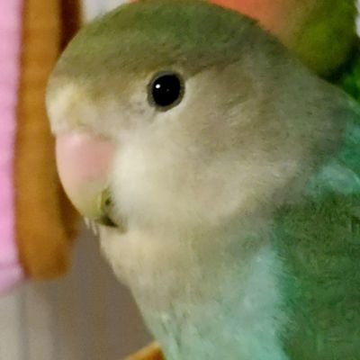 九月さんのプロフィール画像