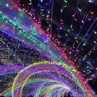 ともゆき (@6i7apwa2loguvlp) 's Twitter Profile Photo