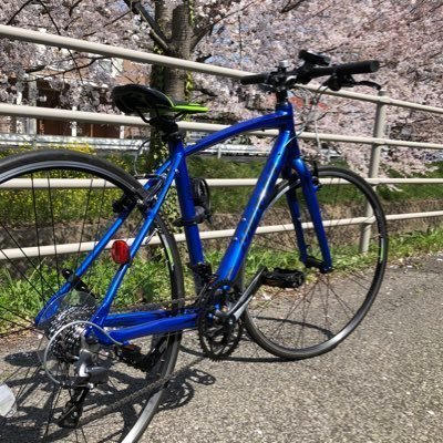 バビブべ16gさんのプロフィール画像