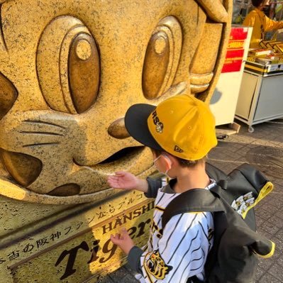 ハンカチ世代の阪神ファン🐯 時々オリックス🦬今年はロッテも。無言フォロー、いいねさせていただきます🙇‍♂️