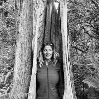 Tracy Bingham (@technotrace) 's Twitter Profile