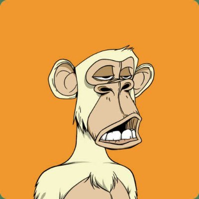 anklebone_1986's profile picture. Data scientist locating in Corpus Christi #blockchain #nfts #btc