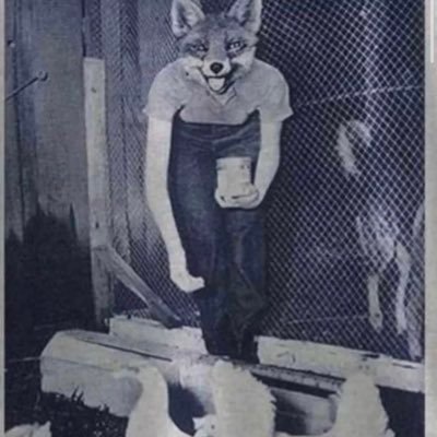 CEC🦊😡💙