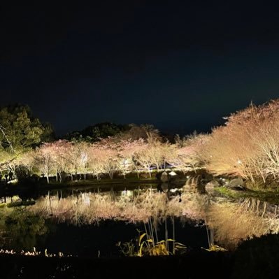 OMU 法学部 2回生 🐯🌸