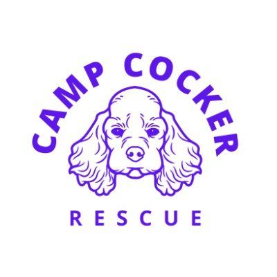 Nonprofit dog rescue focus on Cocker Spaniels - local shelter & international Freedom Flyer rescue
Transitioning to Threads: threads.net@campcockerrescue