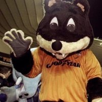 steve bird (@stevebird1877) 's Twitter Profile