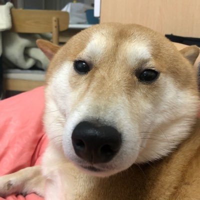 Homelessgod3's profile picture. 在你的個人資料上加上個人介紹