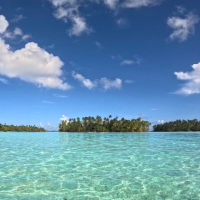 db7385's profile picture. 