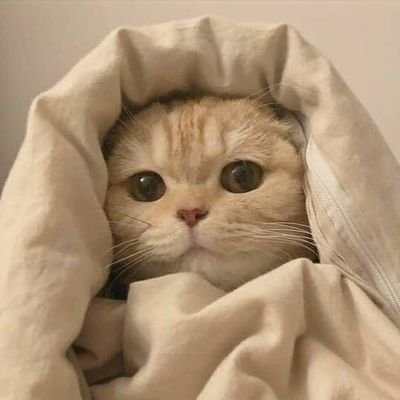 st_sadthread's profile picture. you are you i am me