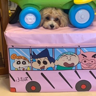 関西の二児の母です。 ウズ、マダミスかれこれ3年ほど前からデビューで着々としてます(^^)GMも始めてます✨
