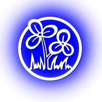 All West Bengal Trinamool Congress (@tmc4wb) 's Twitter Profile