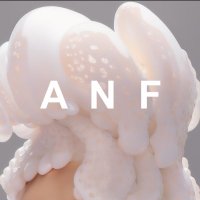 A N F (@studioanf) 's Twitter Profile