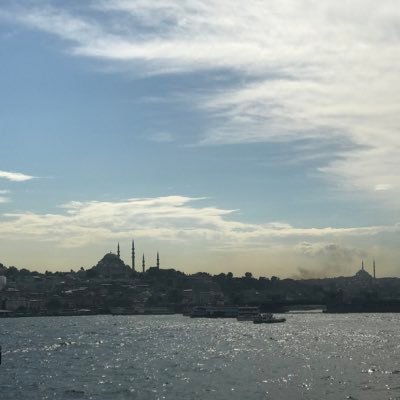 sonyolc's profile picture. 