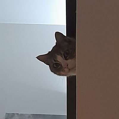 DagoSlash's profile picture. 