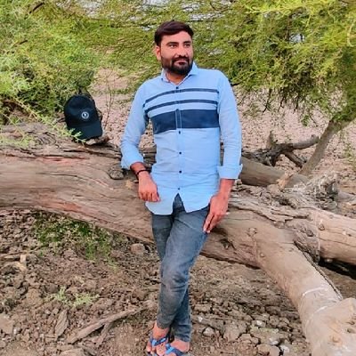 vaghvajsur's profile picture. public and social services