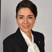 Av. İnci Söğütlü 🇹🇷(@av_inci) 's Twitter Profile Photo