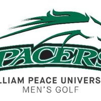 GoPeaceGolf(@GoPeaceGolf) 's Twitter Profile Photo