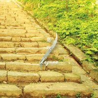 とれそん (@traceon91533) Twitter profile photo