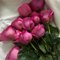 lilyana (@lilyanarozz) 's Twitter Profile