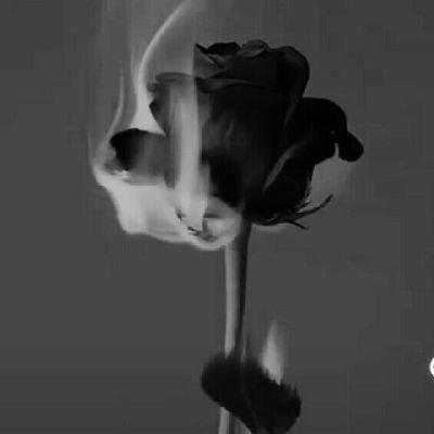 Walawal15822187's profile picture. simpelll