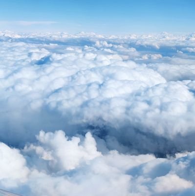 balaman89's profile picture. 🇹🇷✈️🤘