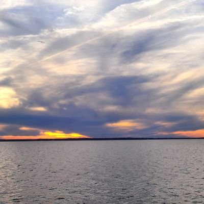 Ernesto74323772's profile picture. Crypto is the Future. Don't Miss the Ride!
 #NFT #Volt #Shib #ADA #BTC #HYDRA #BONE #ETH #WSM