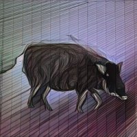 Junglee Suar (@littlenicobar) 's Twitter Profile Photo Junglee Suar (@littlenicobar) 's Twitter Profile Photo
