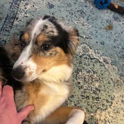 Murph2250Pmr's profile picture. Curious