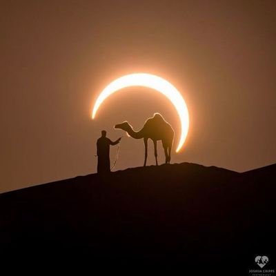 mgrb27653355's profile picture. 