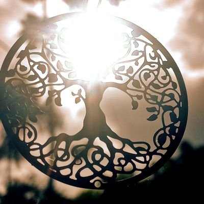 Jakulba17's profile picture. We are all visitors to this time, this place. We are just passing through.
Our purpose here is to observe👀 learn, grow🌱 and love❤️ then we return home.✨️