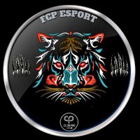 FCP Esport (@brestesport) 's Twitter Profile