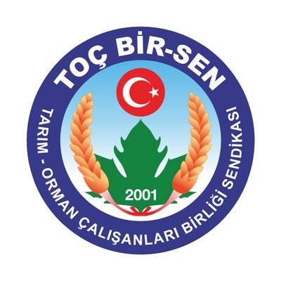 TocBirSenGM Profile Picture
