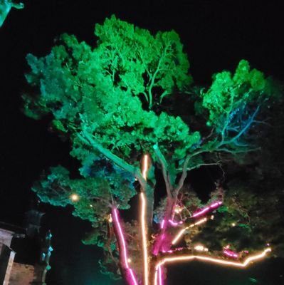 Emm_V_EV's profile picture. 