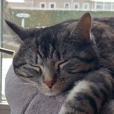 Wouter Kramerさんのプロフィール画像